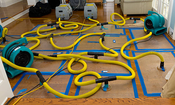 Professional Sewage Cleanup technician working in Orange, OH
